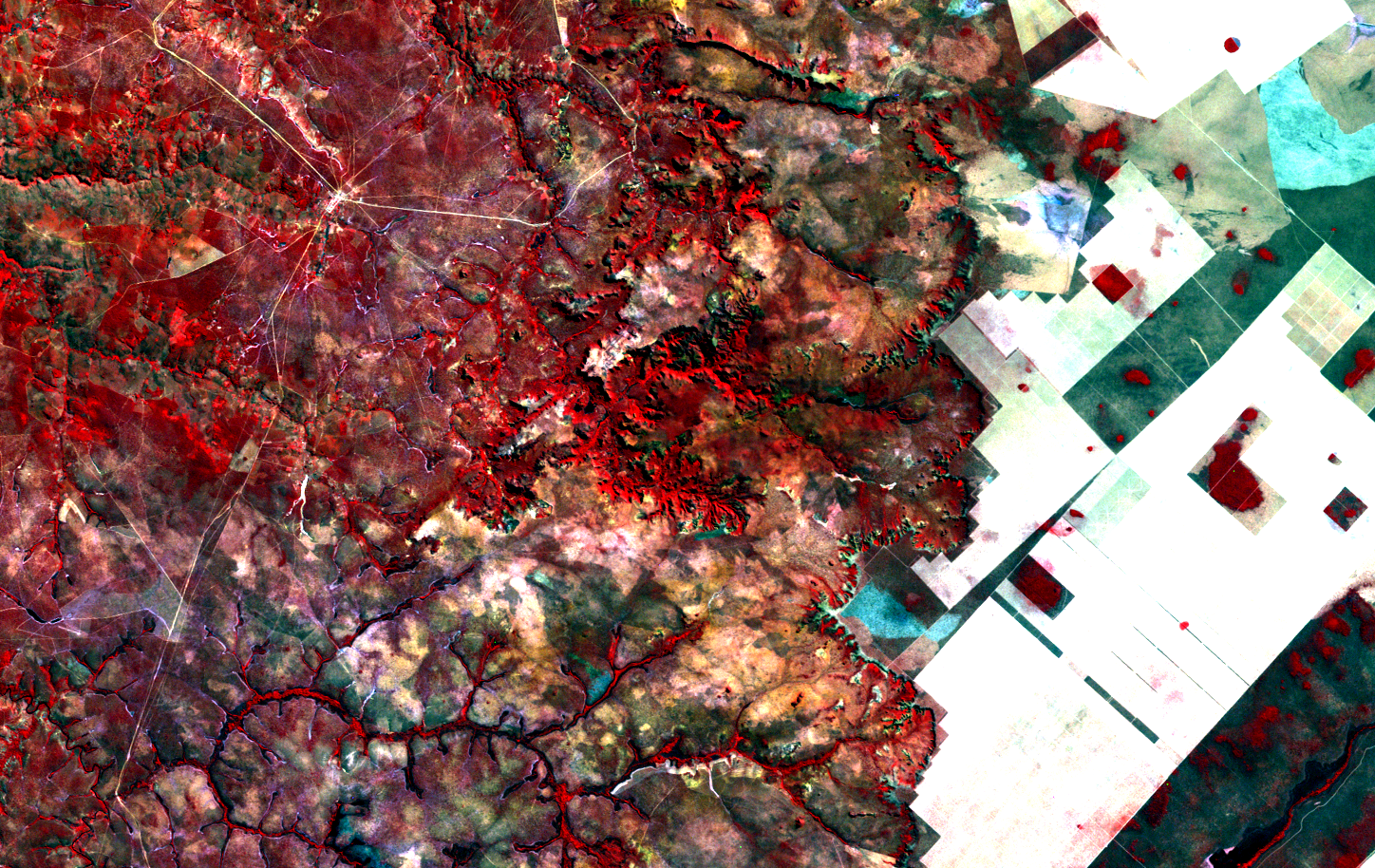 ../_images/landsat5-220070-19840620-falsa-cor.png