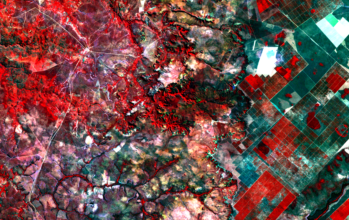 ../_images/landsat5-220070-19900605-falsa-cor.png