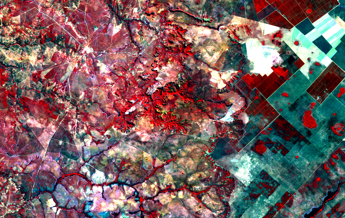 ../_images/landsat7-220070-20000726-falsa-cor.png