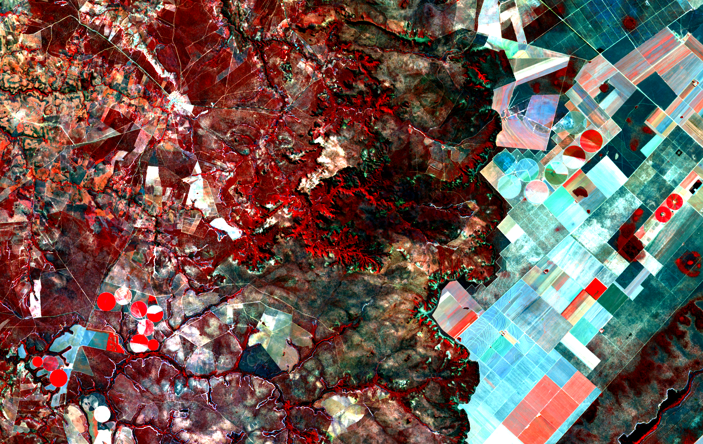 ../_images/landsat8-220070-20150908-falsa-cor.png